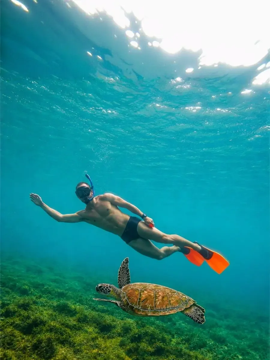Matheus mergulhando próximo a uma tartaruga em Fernando de Noronha.